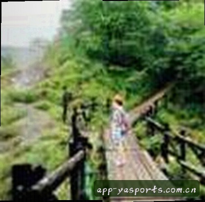 张磊